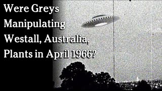 Watch February 23, 2022 - Were Greys Manipulating Westall, Australia, Plants in April 1966?