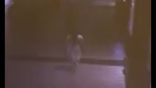 Watch Lady In White Caught Vanishing On Security Camera At Galerías La Paz, Mexico