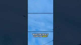 Watch LA Helicopters Caught in UFO Swarm! ?? #UFOs #shorts