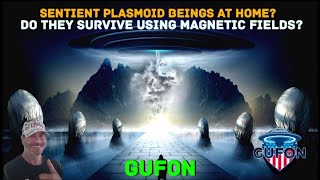 Watch Sentient Plasmoid Beings, Where Would They Originate From?