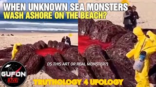 Watch When Unknown Sea Creatures Wash Up On Shore, We Never Know The Answers