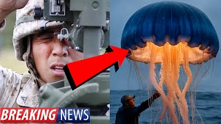 Watch BREAKING! Former Military TEAM Captures SHOCKING Jellyfish UFO Footage!?