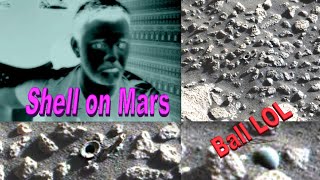 Watch Shell on Mars