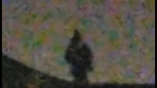 Watch Black Humanoid Figure Caught Descending Upon A Burbank Neighbourhood. May 6, 2019