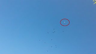 Watch UFO Sighting in Albuquerque, New Mexico - FindingUFO