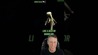 Watch Alien Mothership could 