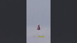 Watch Unknown Object Spotted—You Decide! ?? #uap #shorts @thirdphaseofmoon