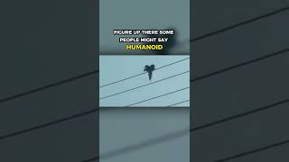 Watch ?➡️@thirdphaseofmoon #shorts #UFOs