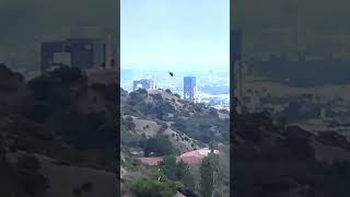 Watch What’s Flying Over LA? Cryptid or Alien Craft? ?❓ #uap #shorts @Thirdphaseofmoon