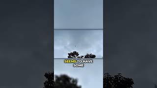 Watch Buga Sphere footage in Colombia #UFOs #shorts