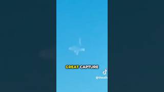 Watch Ghostly Transparent Craft Captured on Camera! ?? #UFOs #shorts