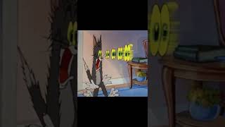 Watch Real Or Fake Files: Wax Figure Filmed  Moving It's Head At Mexican Museum #ghost #spooky #haunted