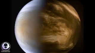 Watch What Are They Hiding On Venus