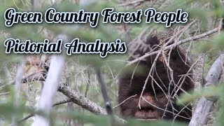 Watch Pareidolia Or Unexplained Reality? Green Country Forest People Presents His Evidence!