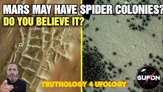 Watch THIS STREAM - Have Spiders Been Found On Mars & Lue Eligonzo Talks More Circle Jerk Talk