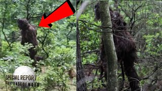 Watch BIGFOOT! Clearest Evidence Of Baby Bigfoot! Buckle-UP! 2022