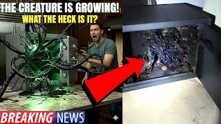 Watch This Is Getting CRAZIER By The Minute! IT'S GROWING! CRAZY UFO VIDEOS!