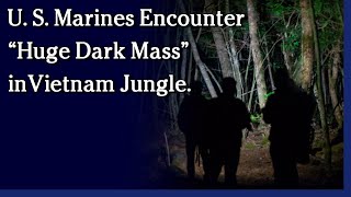 Watch August 25, 2021 - U. S. Marines Encounter “Huge Dark Mass” in Vietnam Jungle.