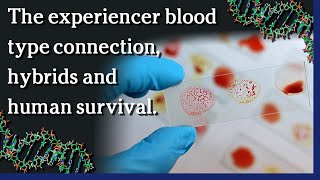 Watch April 28, 2021 - The experiencer blood type connection,  hybrids and  human survival.