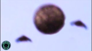 Watch Those AREN'T Satellites.. Telescope Video of UFO Activity on Moon Proves..