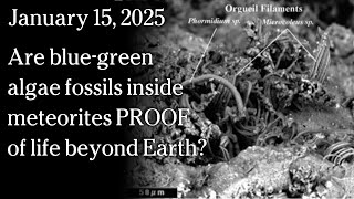 Watch Jan 15, 2025 - Are blue-green algae fossils inside meteorites PROOF of life beyond Earth?