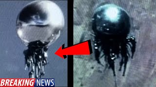 Watch JUST IN! CLEAREST JELLY FISH UFO VIDEO EVER?! 2024