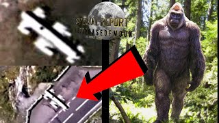 Watch They Are Not Hiding Anymore! NEW Bigfoot Video! 2022