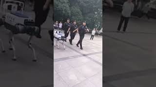 Watch Marching Robot Dog Falls Over. Not Quite The Rise We Were Expecting #viral #robot #funny #china