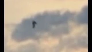 Watch Humanoid Creature Spotted Flying Over Algés, Portugal. April 8, 2019