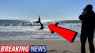Watch Breaking News! Strange SEA CREATURE Caught On CAMERA ATLANTIC OCEAN!