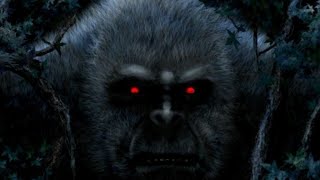 Watch What Is "Flesh And Blood" Bigfoot Research? Paranormal Or Cryptid?