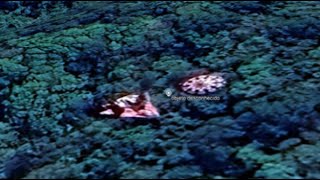 Watch Two UFOs Spotted On Google Earth Over Rio Branco do Sul In The State of Paraná, Brazil