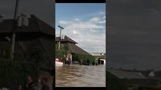 Watch Alligator Swimming Through Flooded Street Of Menino Deus In Rio Grande do Sul, Brazil. #brazil