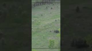 Watch Drone Captures Strange Object Flying Overhead! UFO? #UFOs #shorts