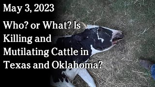 Watch May 3 - Who? or What? Is Killing and Mutilating Cattle in Texas and Oklahoma?