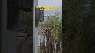 Watch Thunder & Torrential Rain, Brooksville, Florida 12-29-24 #storm #rain #thunder #weather #florida