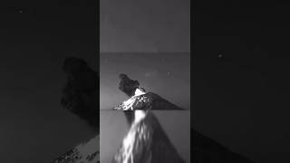Watch Volcano Craft!? ?? #uap #shorts @thirdphaseofmoon
