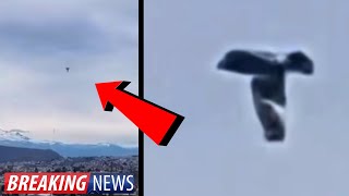 Watch They're Not Hiding Anymore! Earth Rocked With UFO Sightings! 2024