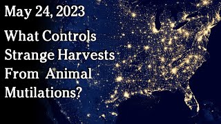 Watch May 24 - What Controls Strange Harvests of Animal Mutilations?