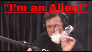 Watch Elon Musk tells Joe Rogan 