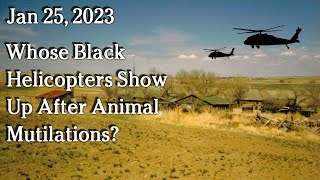 Watch Jan 25 - Whose Black Helicopters Show Up After Animal Mutilations?