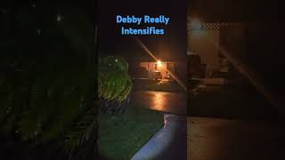 Watch Debbye Has Intensified, Palm Trees Cracking! #hurricane #Debbye #storm #winds #rain #thunderstorms