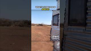 Watch Potential UFO Spotted Over Africa — You Have to See This! ??️ #UFOs #shorts