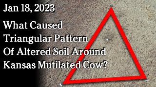 Watch Jan 11 - What Caused Triangular Pattern Of Altered Soil Around Kansas Mutilated Cow?