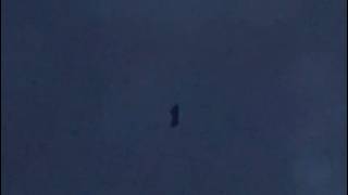Watch Elongated UFO Spotted Lifting Up Before Taking Off Over Baden-Württemberg, Germany.