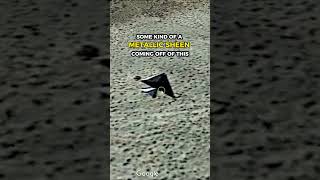 Watch ?➡️ @thirdphaseofmoon #shorts #UFOs