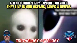 Watch Aliens & Strange Creatures Are EVERYWHERE! - Christopher Bledsoe's Corruption Camp! His Home!