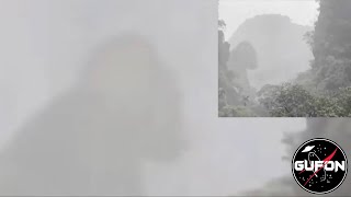 Watch Does a KING KONG Gorilla Actually Exist?