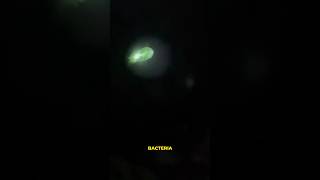 Watch Family Spots 