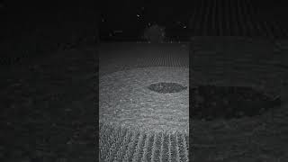 Watch ?➡️​ @thirdphaseofmoon #shorts #UFOs